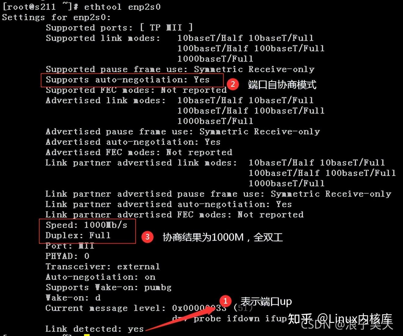 在查看服务器开启端口时，有哪些注意事项和常见问题？