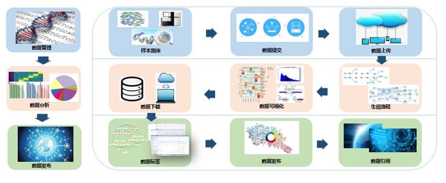 分析实验室数据库为何在科研项目中如此关键?揭秘其应用与影响之谜? 第2张 分析实验室数据库为何在科研项目中如此关键?揭秘其应用与影响之谜? 第2张
