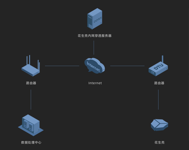 花生壳局域网服务器，如何实现高效稳定的数据传输？ 第2张