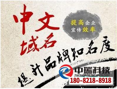 做中文域名有什么好处?中文域名值得注册吗? 第2张 做中文域名有什么好处?中文域名值得注册吗? 第2张