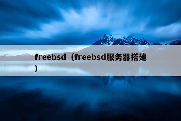 FreeBSD文件服务器如何搭建,有哪些步骤?