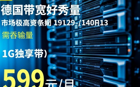 大带宽服务器为什么比普通服务器贵,大带宽服务器价格高的原因?