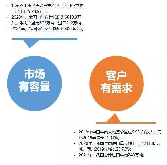 域名市场为什么这么牛?,域名市场牛的原因是什么 第3张 域名市场为什么这么牛?,域名市场牛的原因是什么 第3张