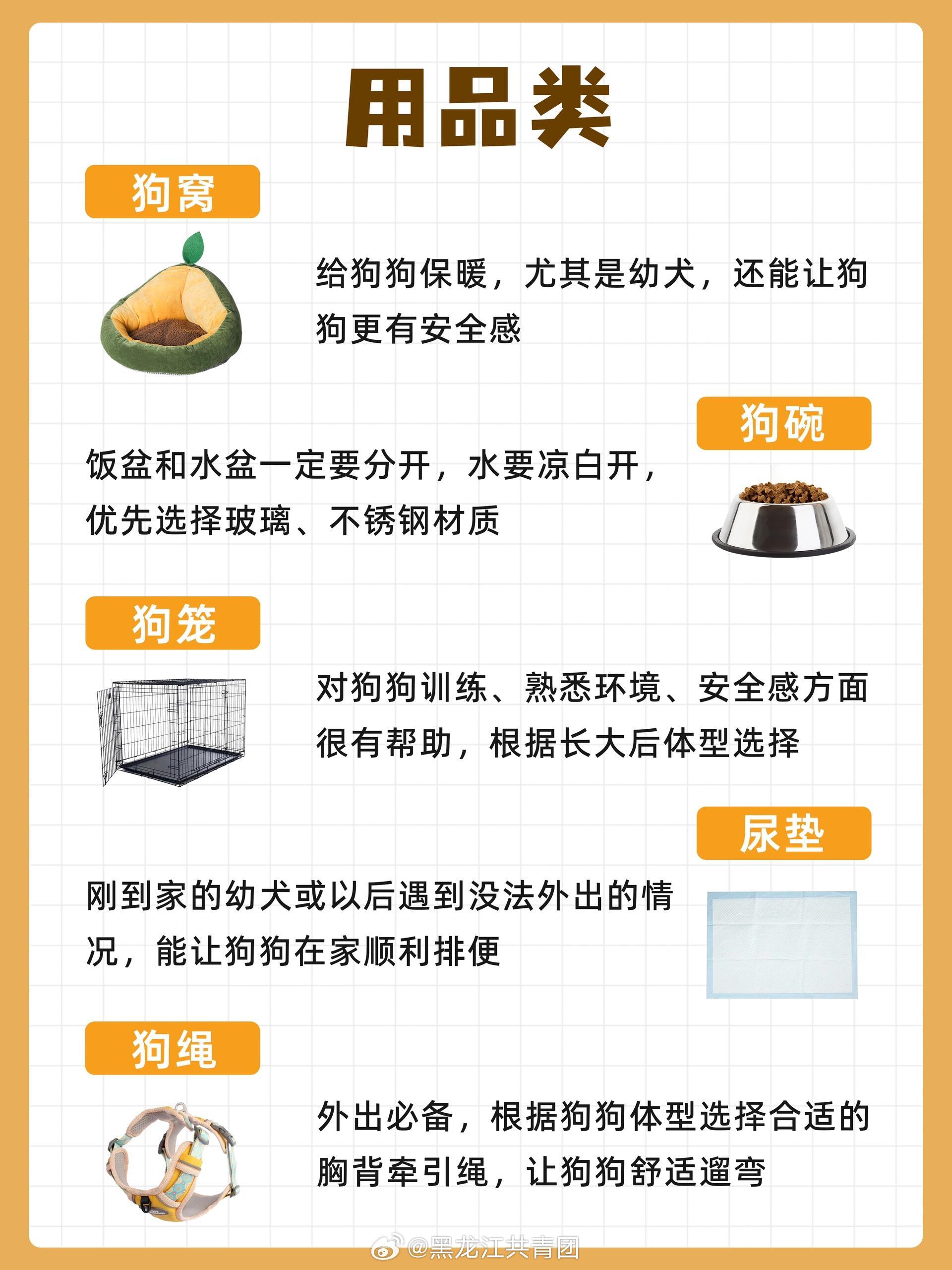 狗配置怎么选？养狗必备硬件配置清单 第2张