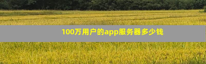 100万用户的app需要什么服务器,百万用户app服务器怎么选 第3张 100万用户的app需要什么服务器,百万用户app服务器怎么选 第3张