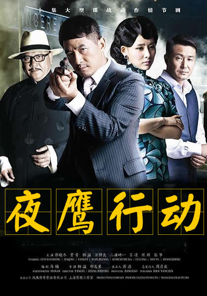 夜鹰行动配置的详细步骤、操作方法与注意事项是什么?,怎么配置 第1张 夜鹰行动配置的详细步骤、操作方法与注意事项是什么?,怎么配置 第1张