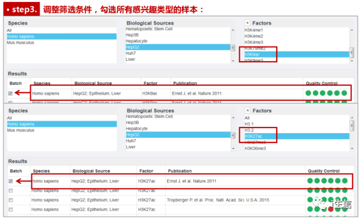 如何高效更改浏览器本地数据库以适应特定需求? 第1张 如何高效更改浏览器本地数据库以适应特定需求? 第1张