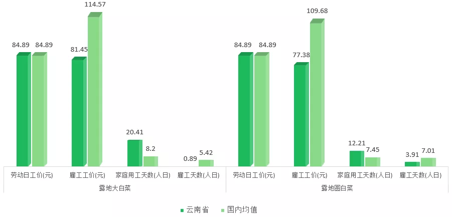 为什么说在云南本地区部署云服务器,是本地企业发展的最佳选择? 第2张 为什么说在云南本地区部署云服务器,是本地企业发展的最佳选择? 第2张