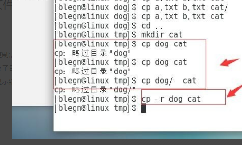 linux如何到文本最后一行 第2张 linux如何到文本最后一行 第2张