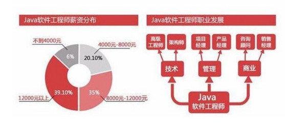 如何高效自学Java并快速掌握核心技能? 第3张 如何高效自学Java并快速掌握核心技能? 第3张