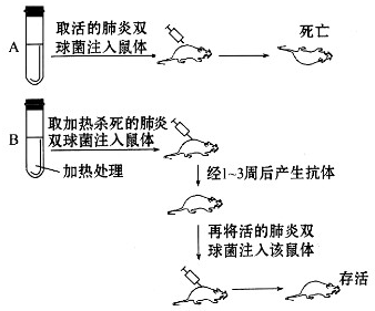 反射机制中的main方法,如何实现非传统启动方式的疑问与探索? 第2张 反射机制中的main方法,如何实现非传统启动方式的疑问与探索? 第2张