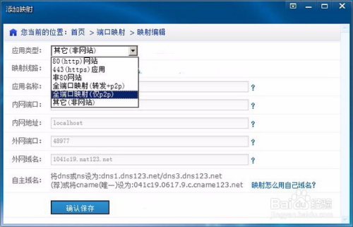 FRP如何解析域名?外网访问内网服务的核心步骤是什么? 第3张 FRP如何解析域名?外网访问内网服务的核心步骤是什么? 第3张