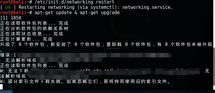 Kali配置网络域名失败怎么办?Kali Linux网络配置 第3张 Kali配置网络域名失败怎么办?Kali Linux网络配置 第3张