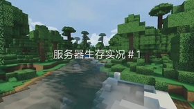 minecraft国内服务器 第2张 minecraft国内服务器 第2张