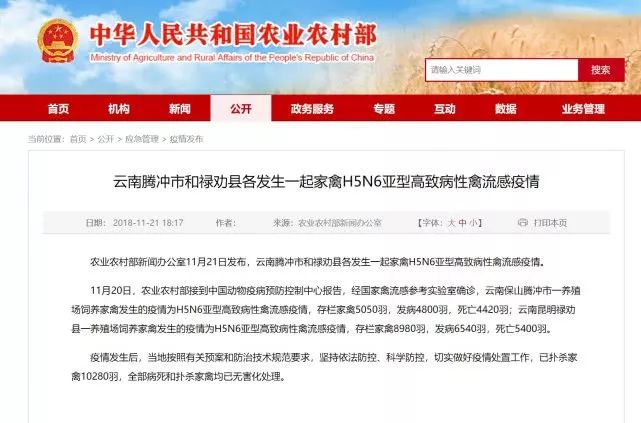 云南域名保护,哪家网站服务更优,值得信赖? 第3张 云南域名保护,哪家网站服务更优,值得信赖? 第3张