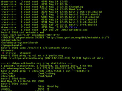 linux如何挂在分区命令 第3张 linux如何挂在分区命令 第3张
