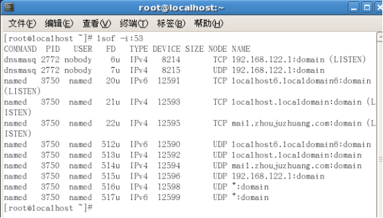 linux的dns怎么配置？Linux系统配置DNS详细步骤教程