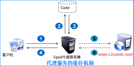 squid图片服务器为何在网站应用中如此重要？功能特点有哪些？ 第2张