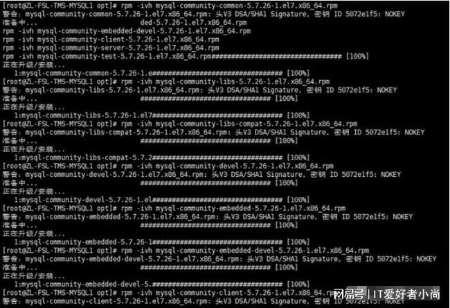 前端如何配置数据库对接