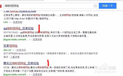 域名跳转背后的代码奥秘,揭秘域名跳转的原理与技巧? 第3张 域名跳转背后的代码奥秘,揭秘域名跳转的原理与技巧? 第3张