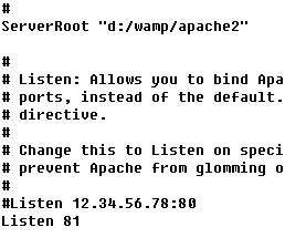 apache如何查看端口占用及解决占用问题? 第3张 apache如何查看端口占用及解决占用问题? 第3张