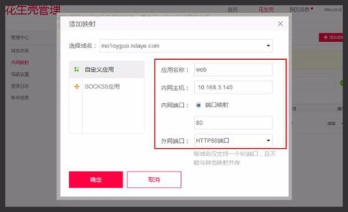 域名映射到内网怎么设置,内网穿透域名映射方法 第1张 域名映射到内网怎么设置,内网穿透域名映射方法 第1张