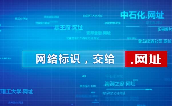 有哪些中文域名网站,哪个中文域名注册网站好? 第2张 有哪些中文域名网站,哪个中文域名注册网站好? 第2张