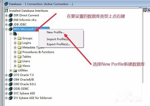pb如何与数据库连接?详细步骤与注意事项是什么? 第3张 pb如何与数据库连接?详细步骤与注意事项是什么? 第3张