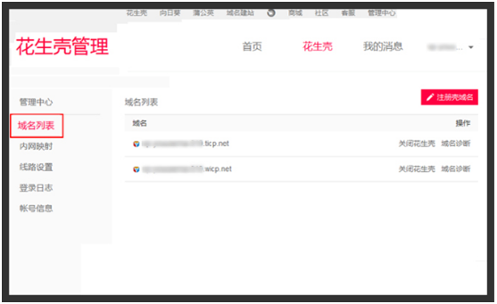 网络域名有哪些?常见网络域名类型及注册流程全解析 第2张 网络域名有哪些?常见网络域名类型及注册流程全解析 第2张