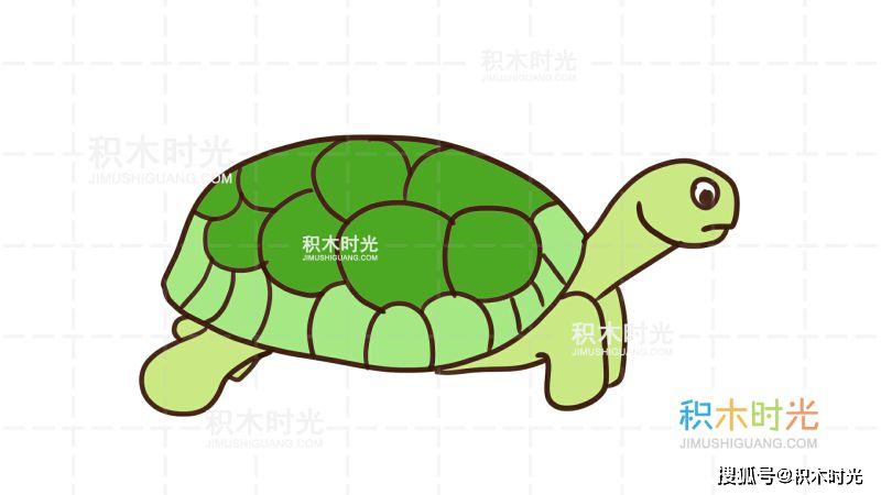 怎么用java画乌龟 第3张 怎么用java画乌龟 第3张