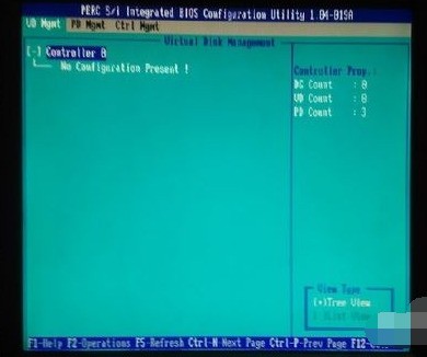 dell配置raid教程,dell服务器raid配置方法 第1张 dell配置raid教程,dell服务器raid配置方法 第1张