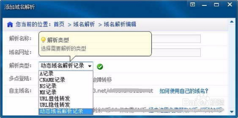 二级域名解析到指定端口怎么设置？域名解析端口映射详细教程 第3张