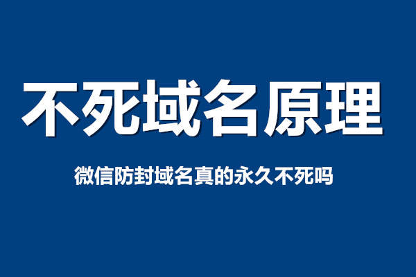 域名坚持原理 第3张 域名坚持原理 第3张