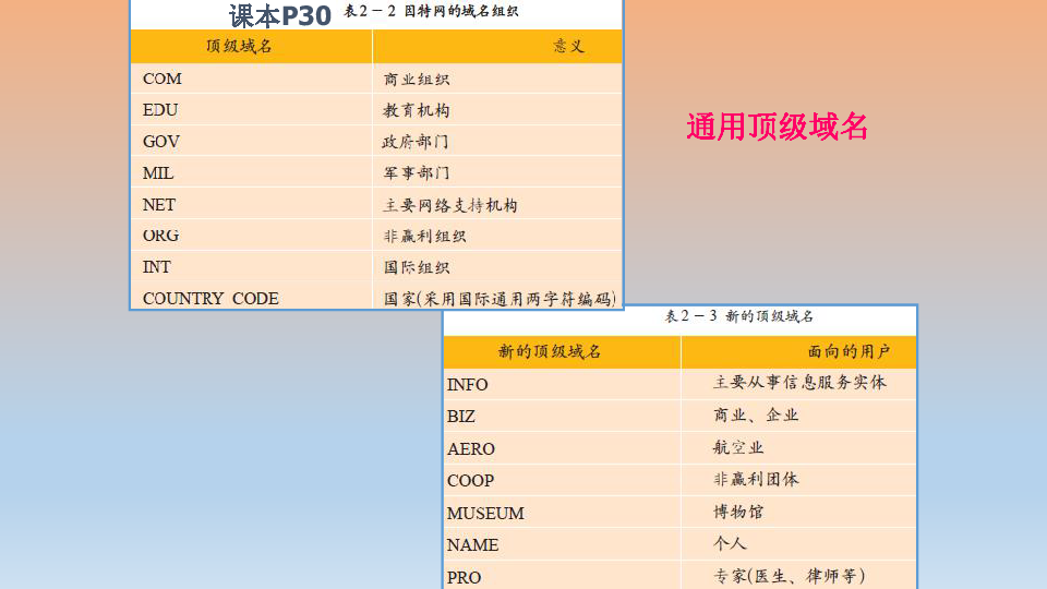 因特网上主机的域名是什么,域名系统