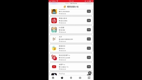 #黑五# the.hosting:SSL证书5折,高频VDS8折,全球50个机房的VPS买6个月送3个月