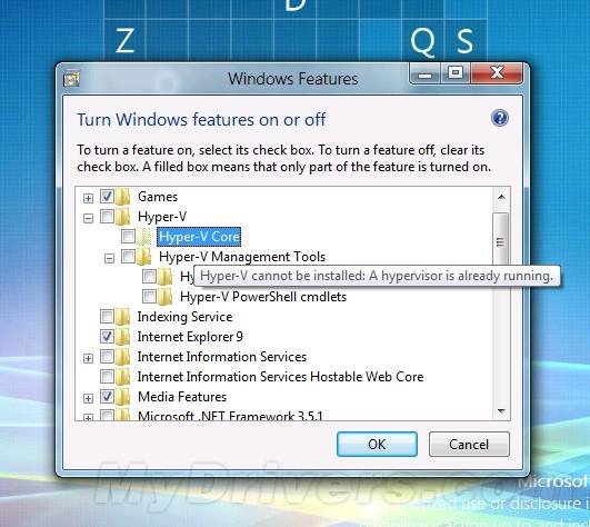 greencloudvps-10g端口VPS/可windows/5.95美元