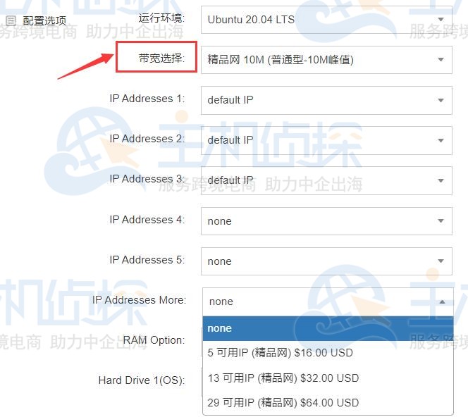 #双十一# raksmart:VPS/CN2\高防\大流量\独立服务器/疯狂折扣甩卖