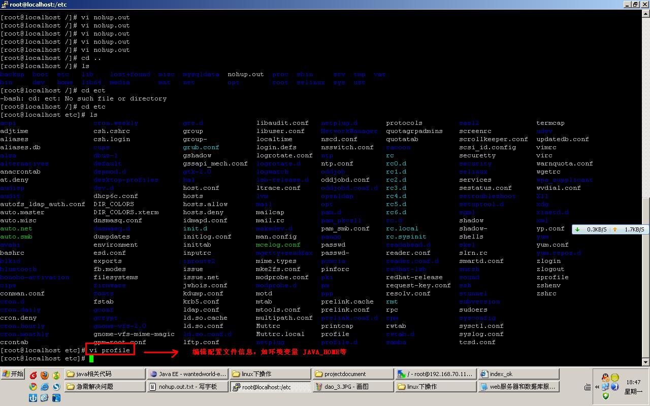 Linux部署项目实战教程
