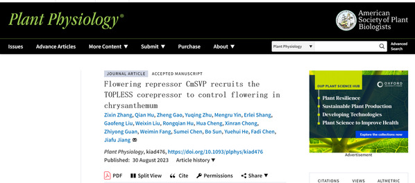 vpsua:高质量乌克兰VPS,月付$6.92起,有windows,PayPal