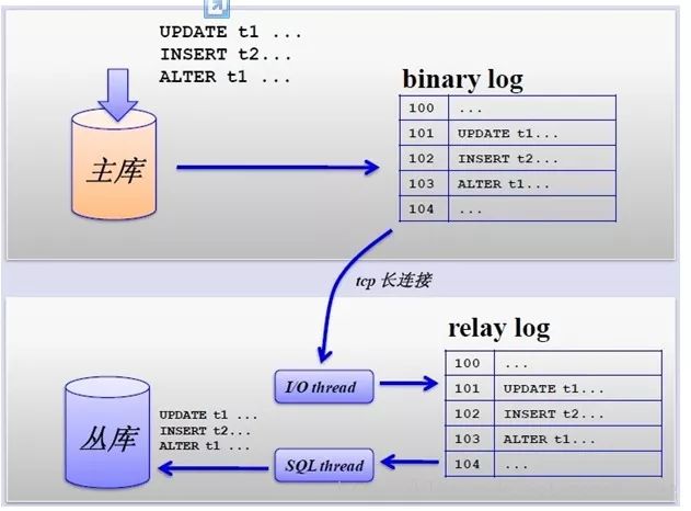 JavaEE如何高效与MySQL数据库实现交互与连接?