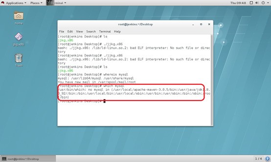 linux如何查看已装软件