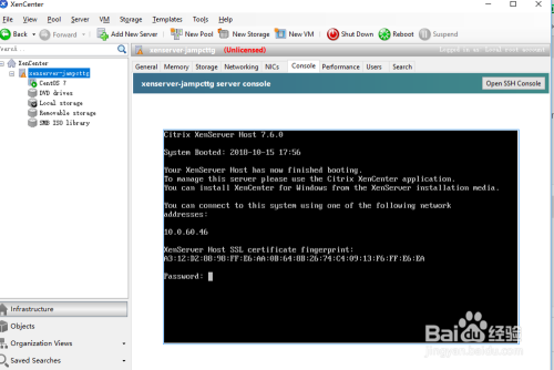 virpus:全场4折优惠,Xen/Windows,512M西雅图VPS低至$20/年
