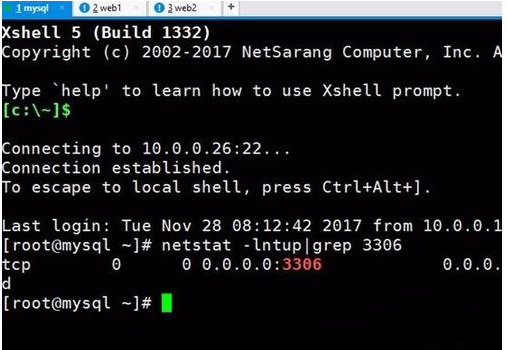 Linux系统版本和内存如何快速查看?