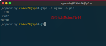 如何在linux查看驱动