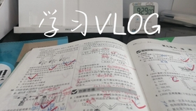 Reflexion自我纠错,Reflexion自我纠错怎么解决,Reflexion自我纠错教程