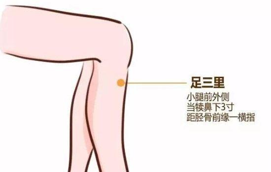 胫骨商标的创意来源是什么?它的独特性体现在哪里? 第1张 胫骨商标的创意来源是什么?它的独特性体现在哪里? 第1张