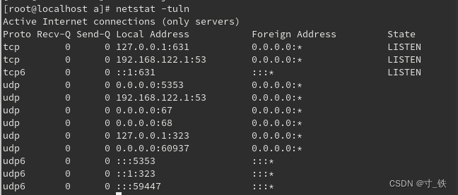 linux 如何查看进程端口号