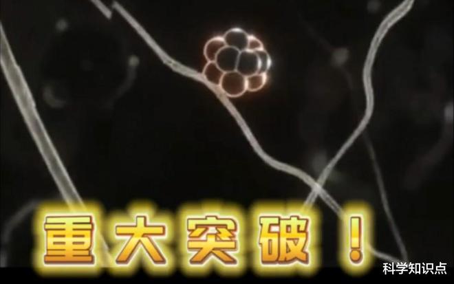 be域名究竟代表哪个国家?背后有何含义?