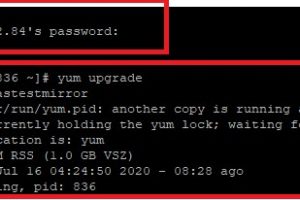 pacificrack：便宜vps专题[Special Sales]，低于$10/年，洛杉矶机房，有Windows/不限流量等