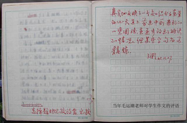 AI辅导学生语文怎么写作文,小学生作文怎么写 第2张 AI辅导学生语文怎么写作文,小学生作文怎么写 第2张